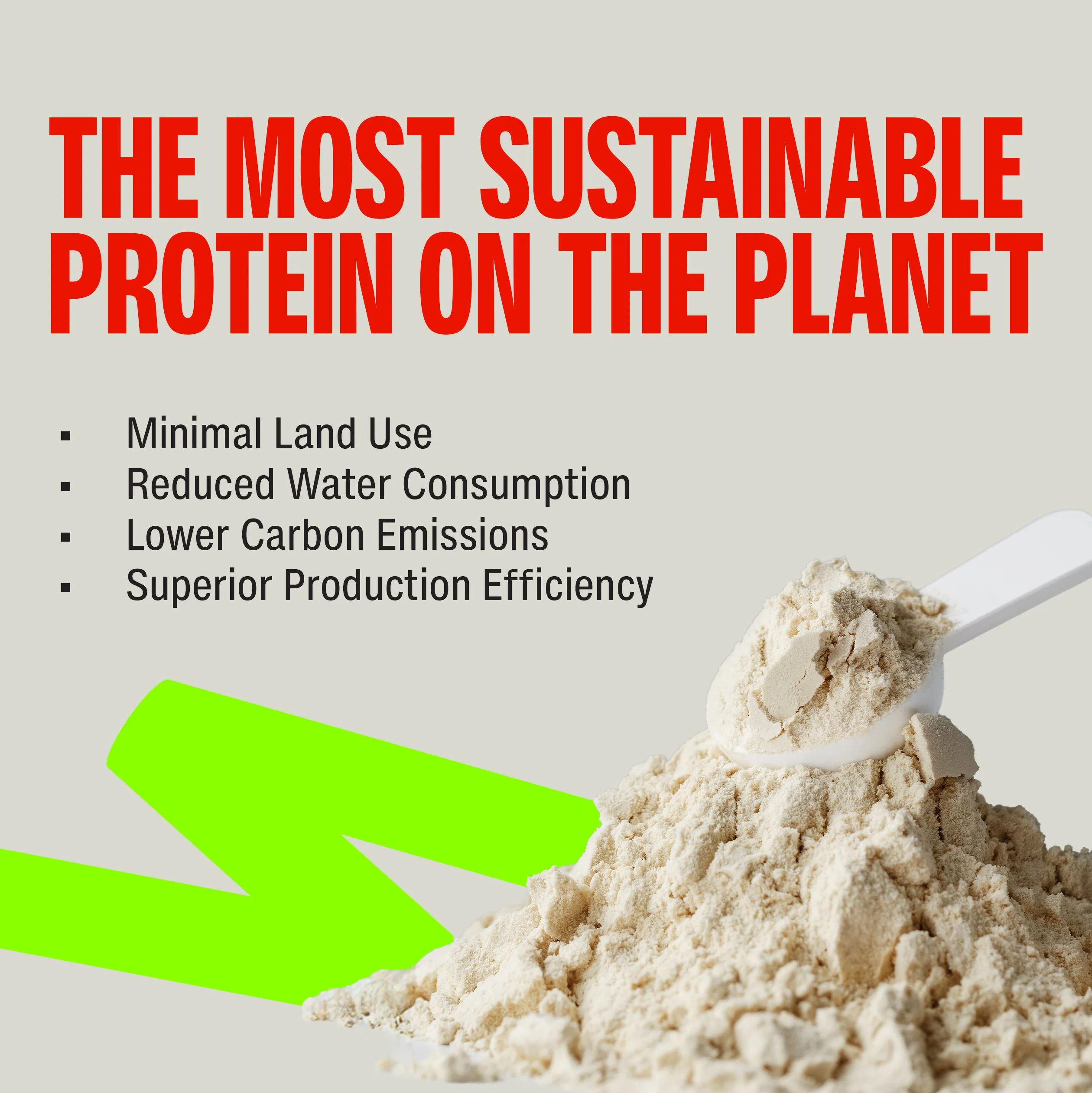 Cold Coffee Fermented Yeast Protein - Pack of 2 - Image 9